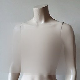 A mannequin torso with the Blur censor style applied